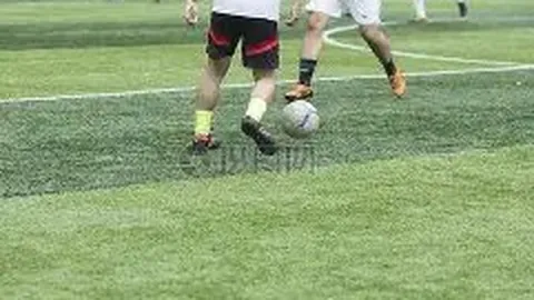 杏彩娱乐 资讯 101632 5bq